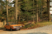 Banner-halblinks
